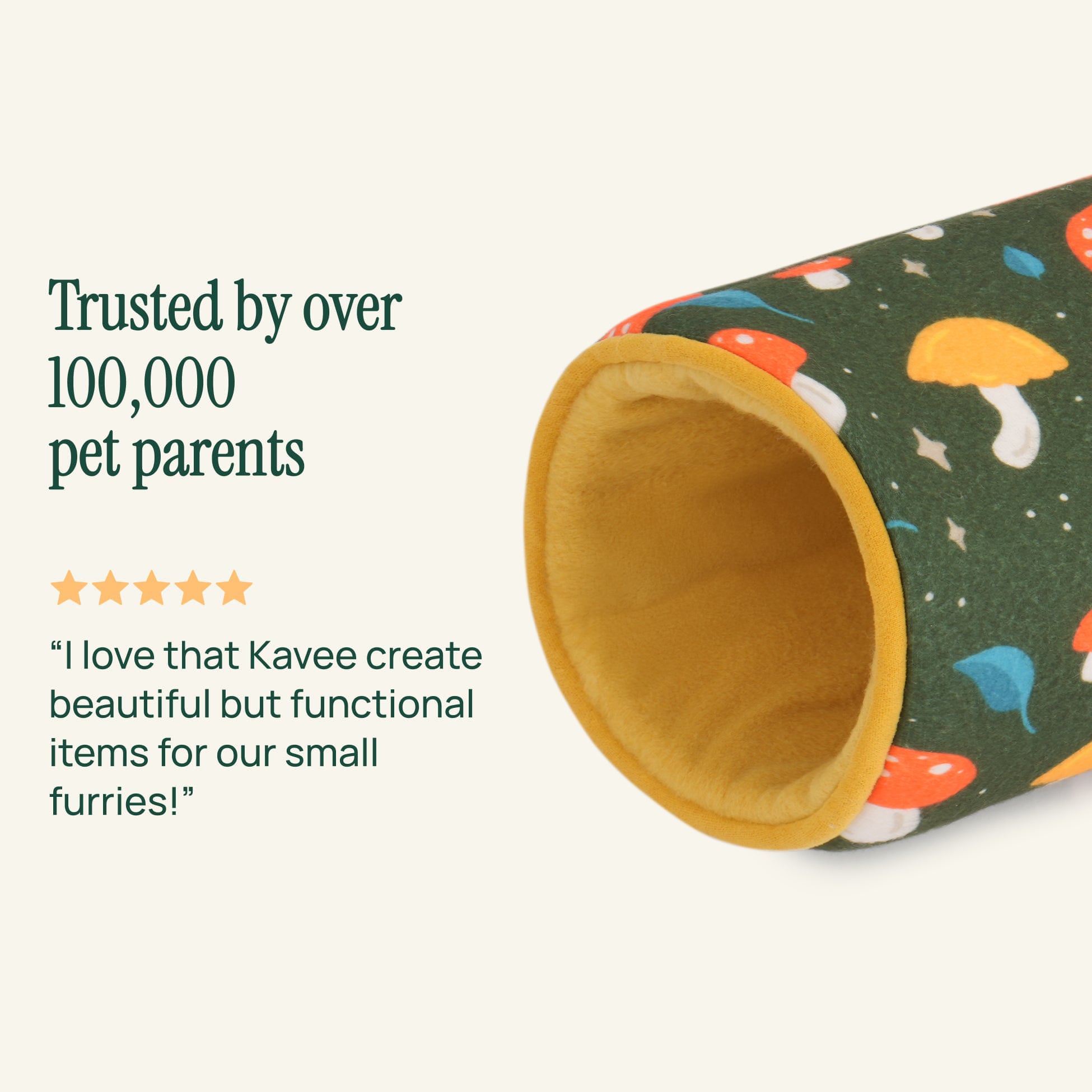 The Tunnel | Mushroom Collection