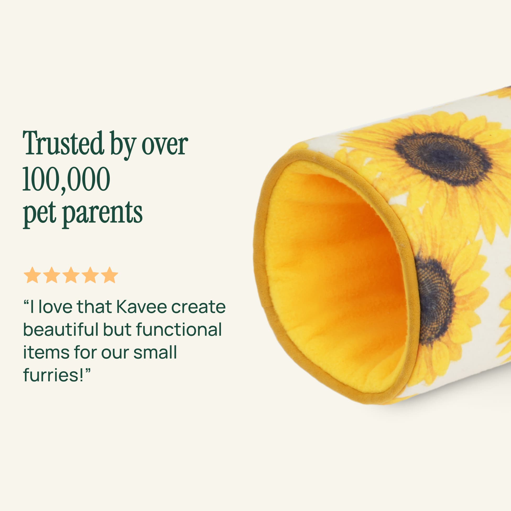 The Tunnel | Sunflower Collection