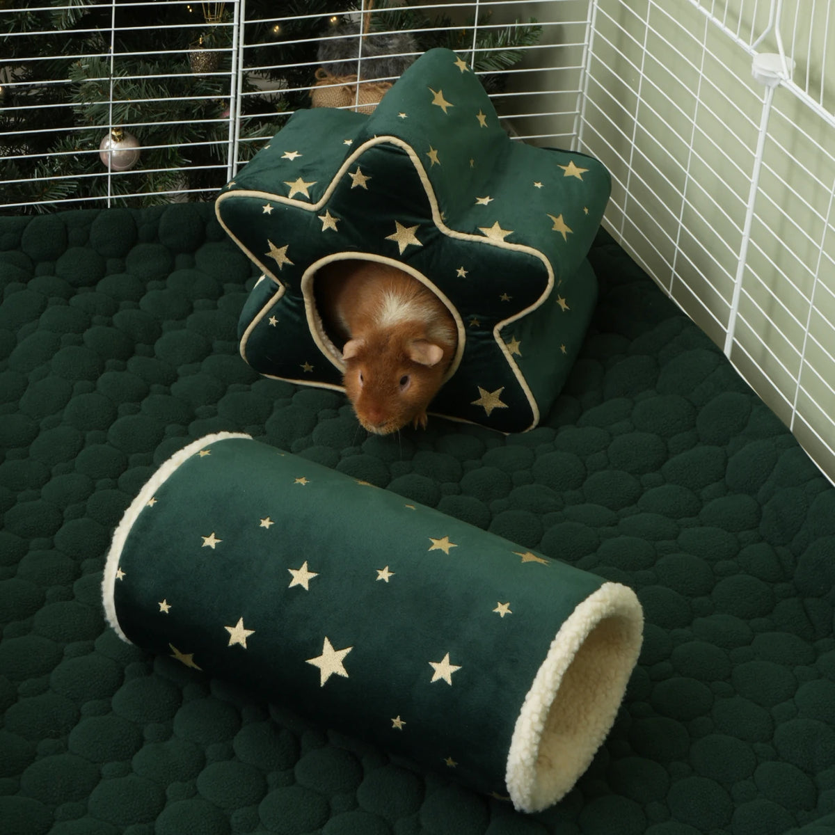 The Christmas Tunnel, in a guinea pig habitat