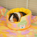 Guinea Pig Cuddle Cup | Pigcasso V2 Collection