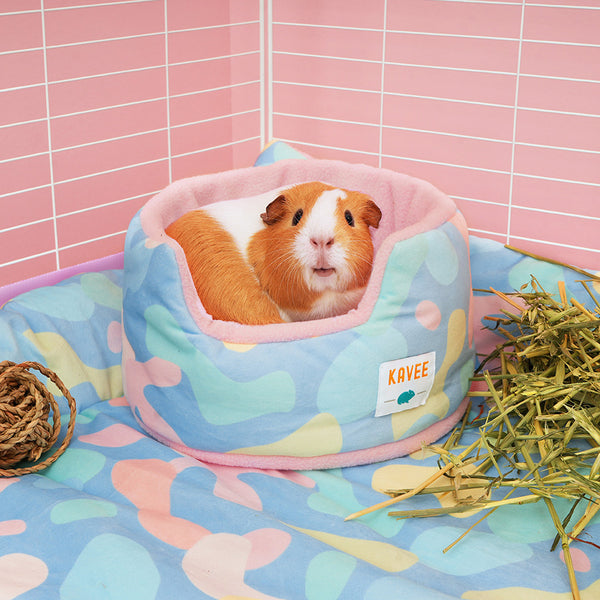 Comfy Cuddle Cup | Pigcasso