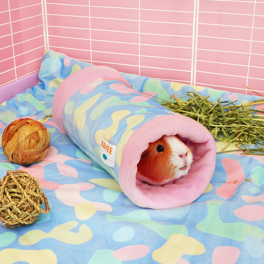 Guinea Pig Tunnel | Pigcasso