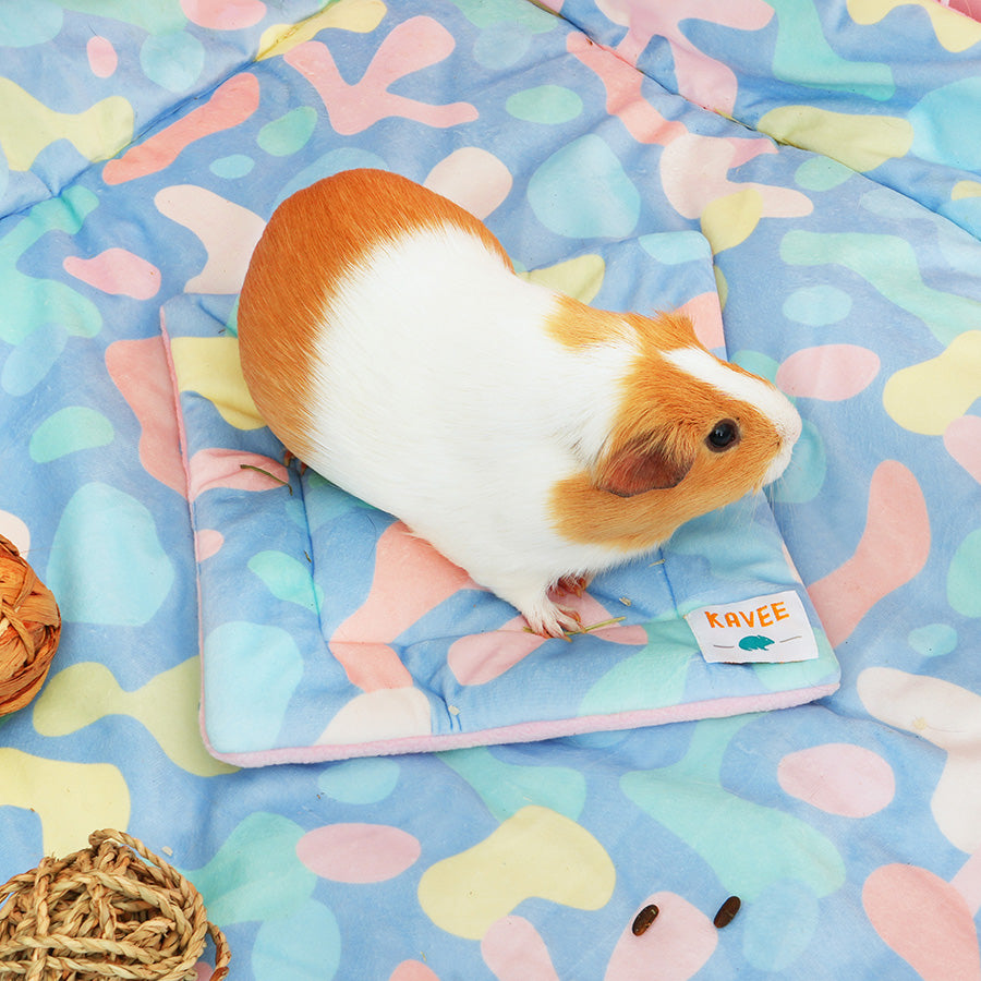 Pee Pad for Guinea Pigs | Pigcasso