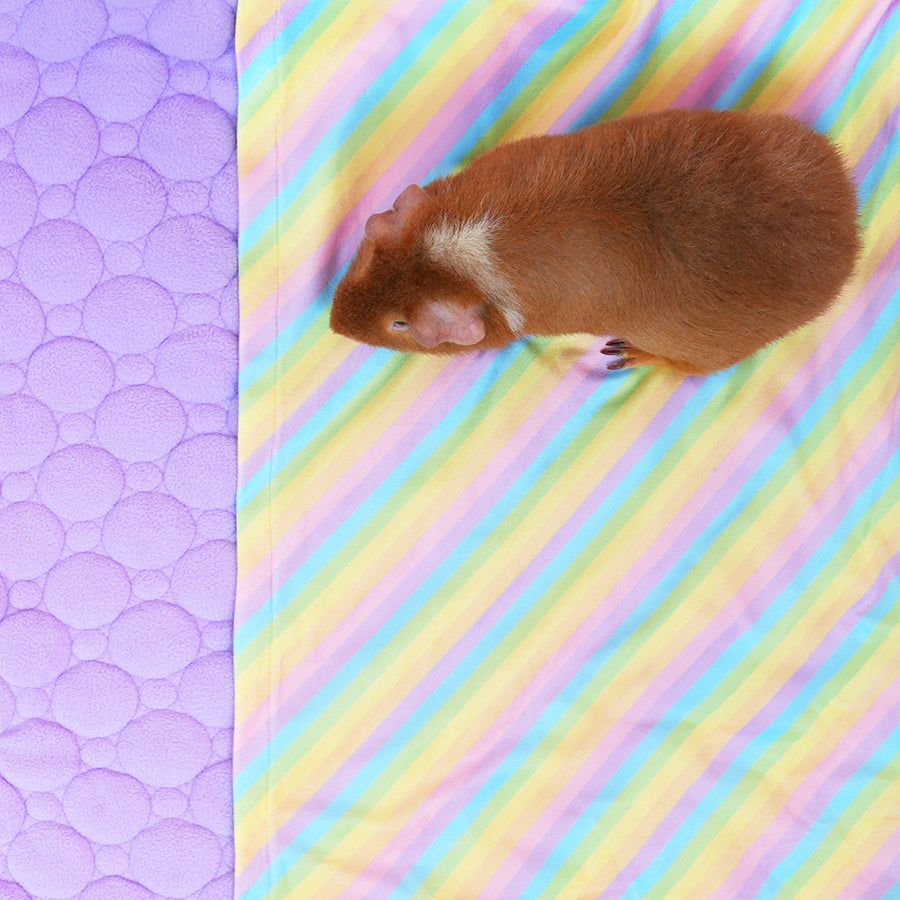 Plush Fleece Liners for Guinea Pigs | Rainbow Collection