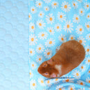 Premium Fleece Liner for Guinea Pigs | Daisy