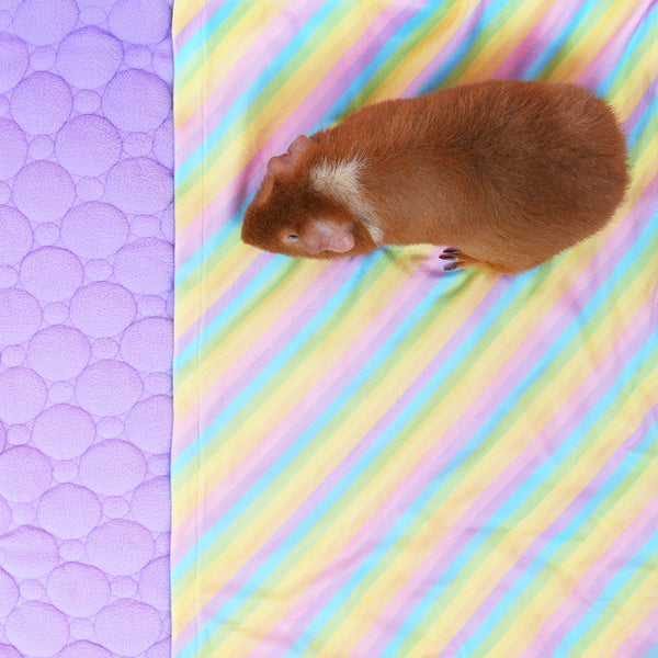 Premium Fleece Liner for Guinea Pigs | Rainbow