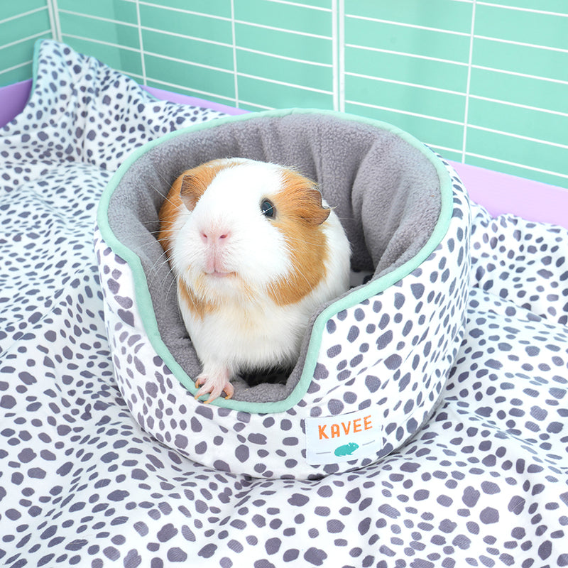 white and brown guinea pig in Kavee dalmatian print cuddle cup on dalmatian print fleece liner in white c&c cage with lilac coroplast