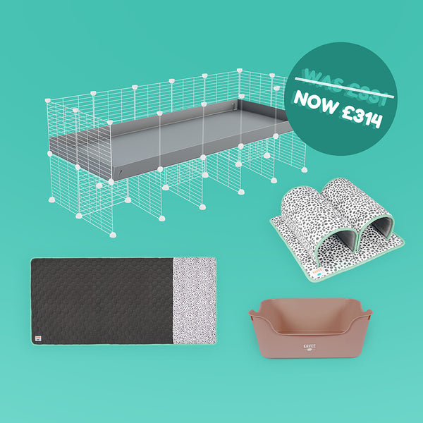 Luxury Cage Bundle for Guinea Pigs