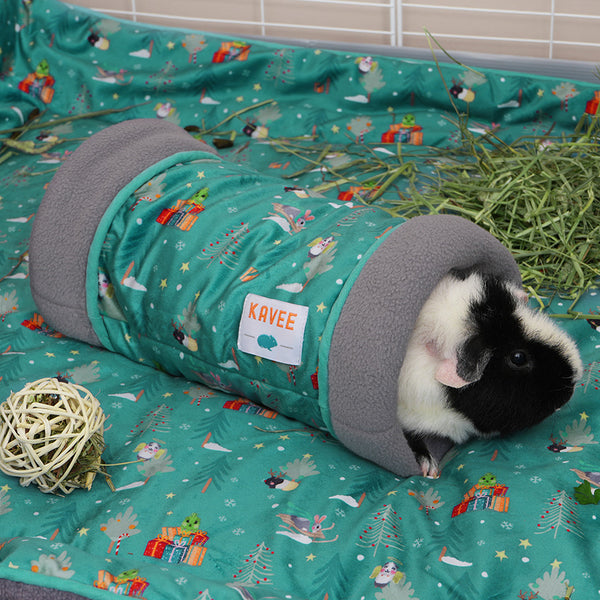 Guinea pig inside Kavee Christmas fleece tunnel