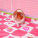 Set of 2 Fleece Liners Bundle | Strawberry