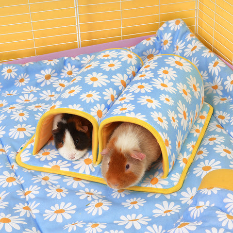 Double Tunnel | Daisy