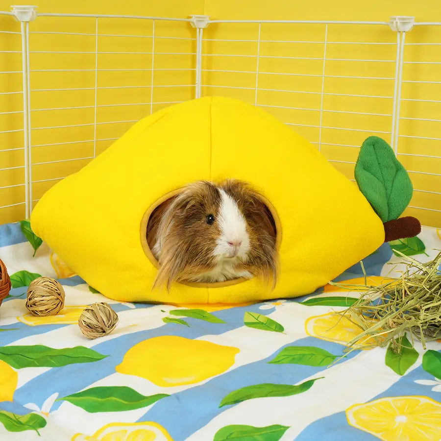 Lemon Amalfi lemon-shaped guinea pig hidey in cage