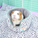 Premium Dalmatian Bundle for Guinea Pigs