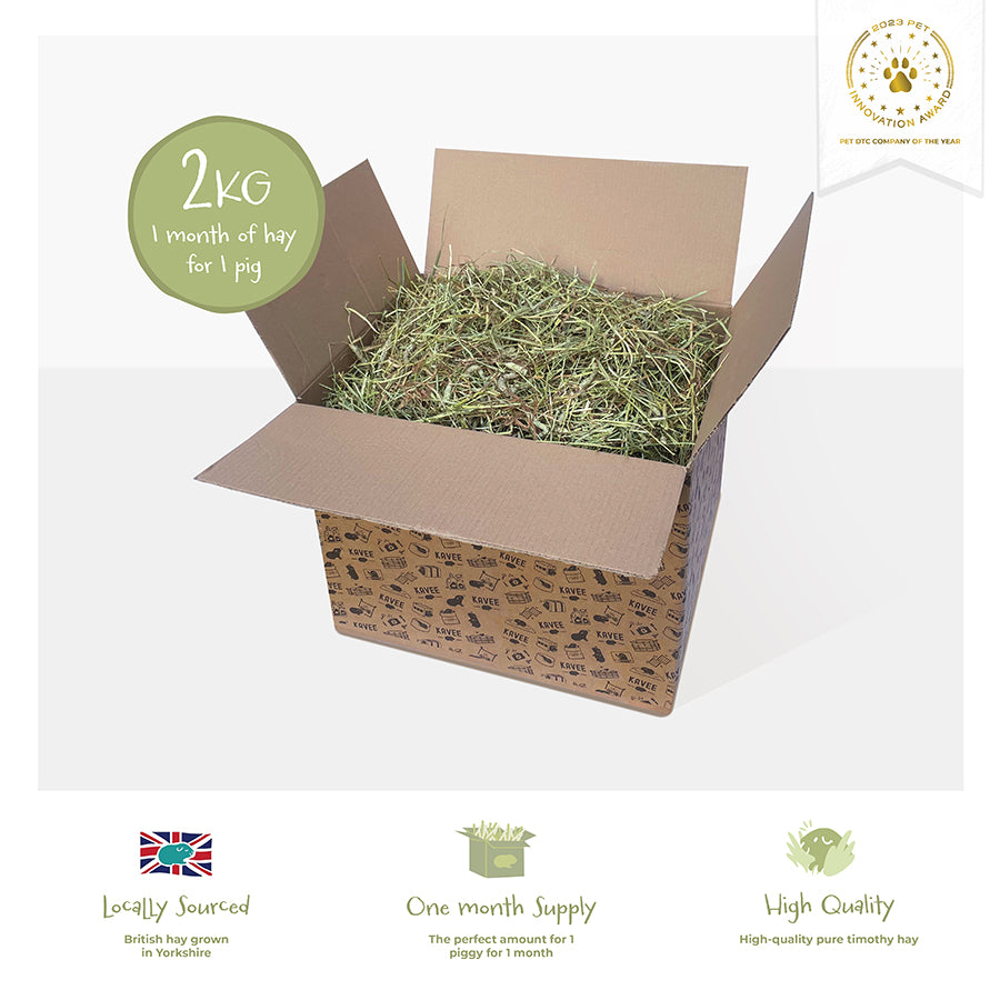 Timothy Hay Box 2kg | Guinea Pig Hay