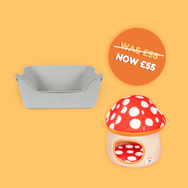 Foraging Piggy Bundle
