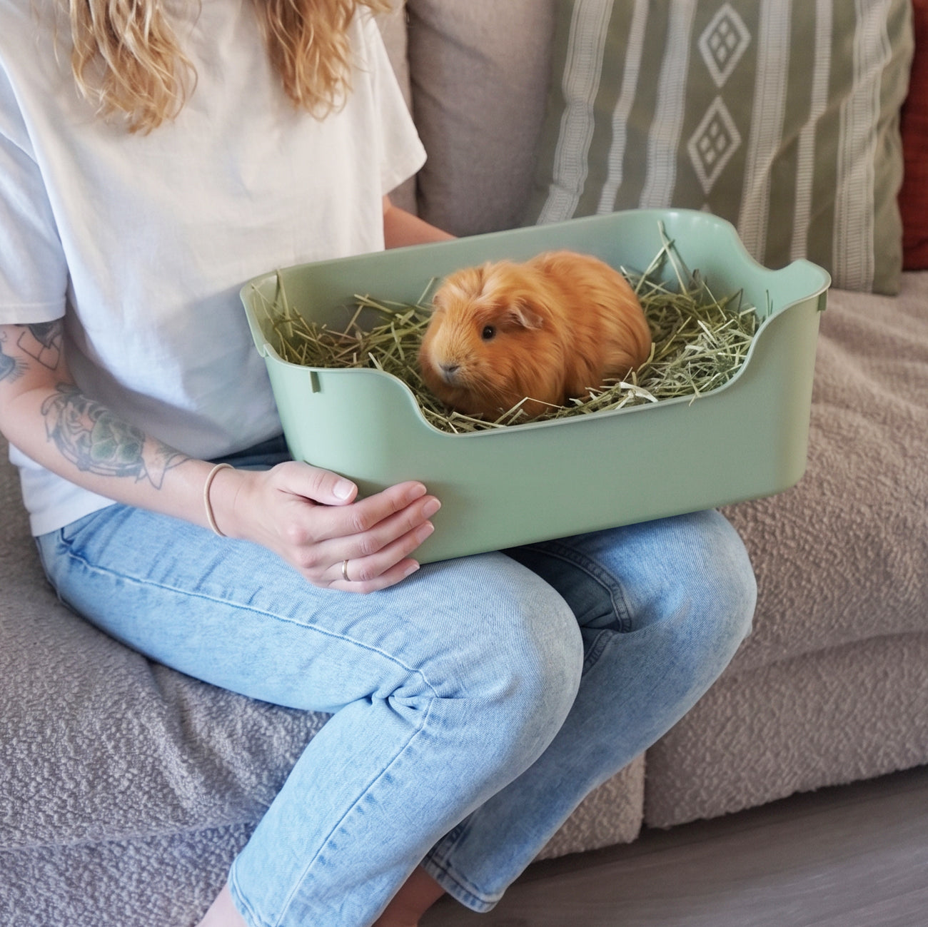 Litter Tray for Guinea Pigs and Rabbits