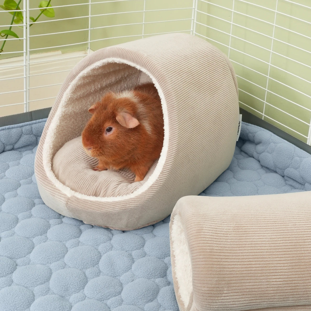 The Nest™ in Nude, in a guinea pig habitat
