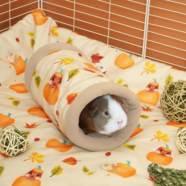 Tunnel | Pawmkin Spice Floofs