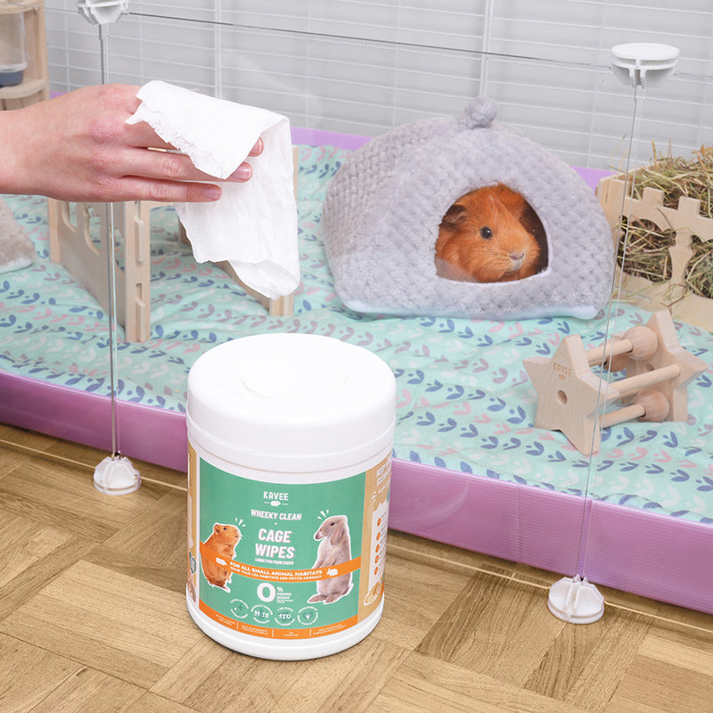 kavee tub of cage cleaning wipes being used by a person cleaning a cage with a guinea pig in it