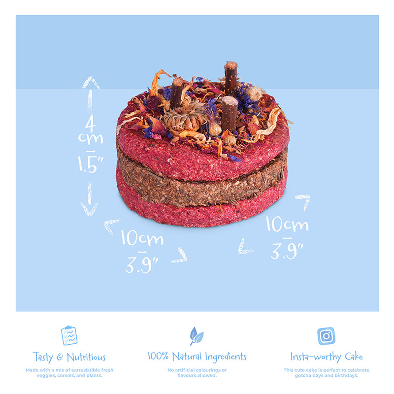 Kavee celebration cake for guinea pigs and rabbit on blue background showing product dimensions