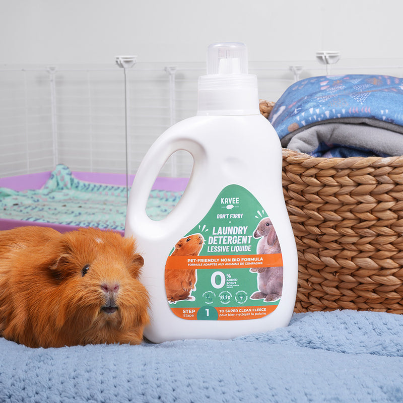 kavee laundry detergent in pet cage with brown guinea pig