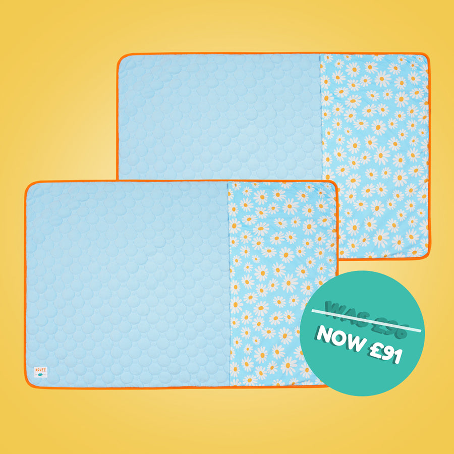 Set of 2 Pocket Fleece Liners for Guinea Pigs | Daisy Bundle