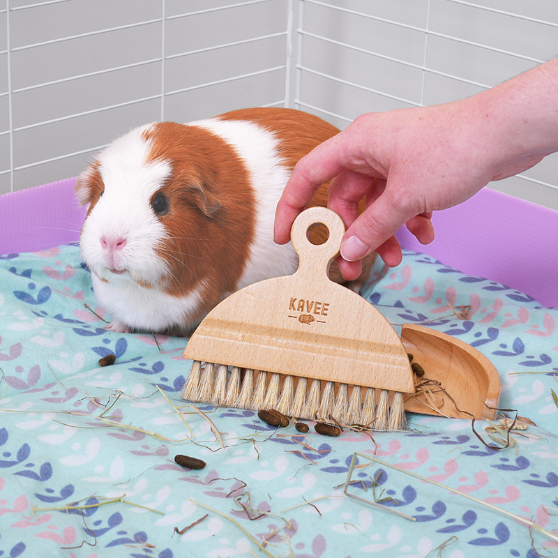 kavee dustpan and brush set being used by a person cleaning out a guinea pig cage next to a brown and white guinea pig