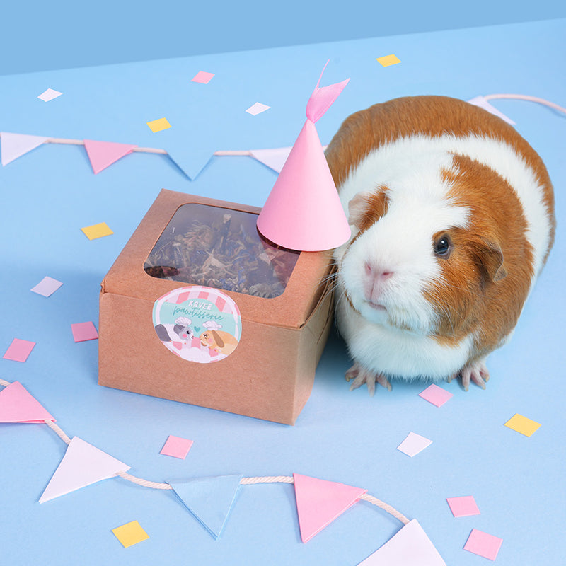 Kavee celebration cake for guinea pigs and rabbit in box with a brown and white guinea pig with party hat and bunting on blue background
