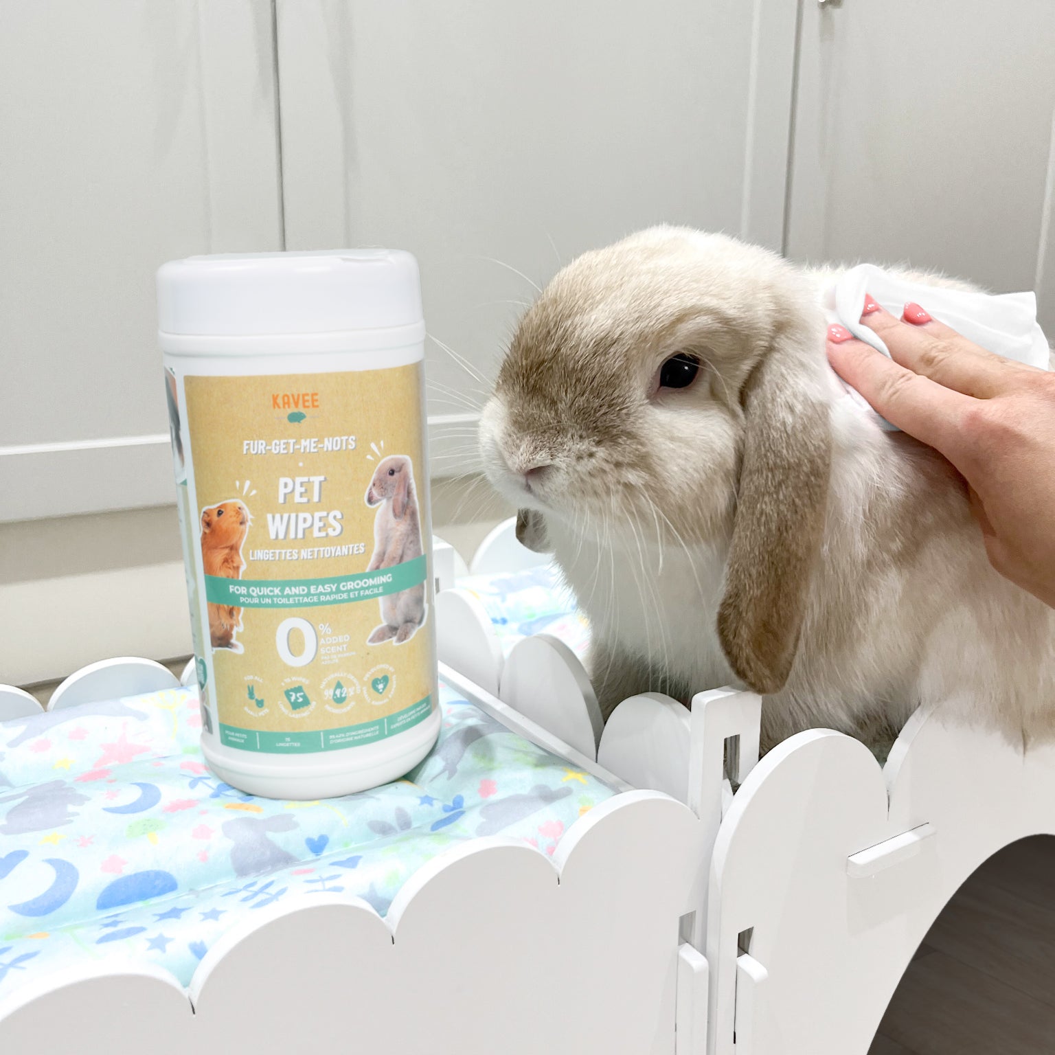 Grey and white rabbit on kavee castle being cleaned by a person with Kavee Cage pet wipes for guinea pigs and rabbits