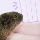 Coloured C&C Cage Grids