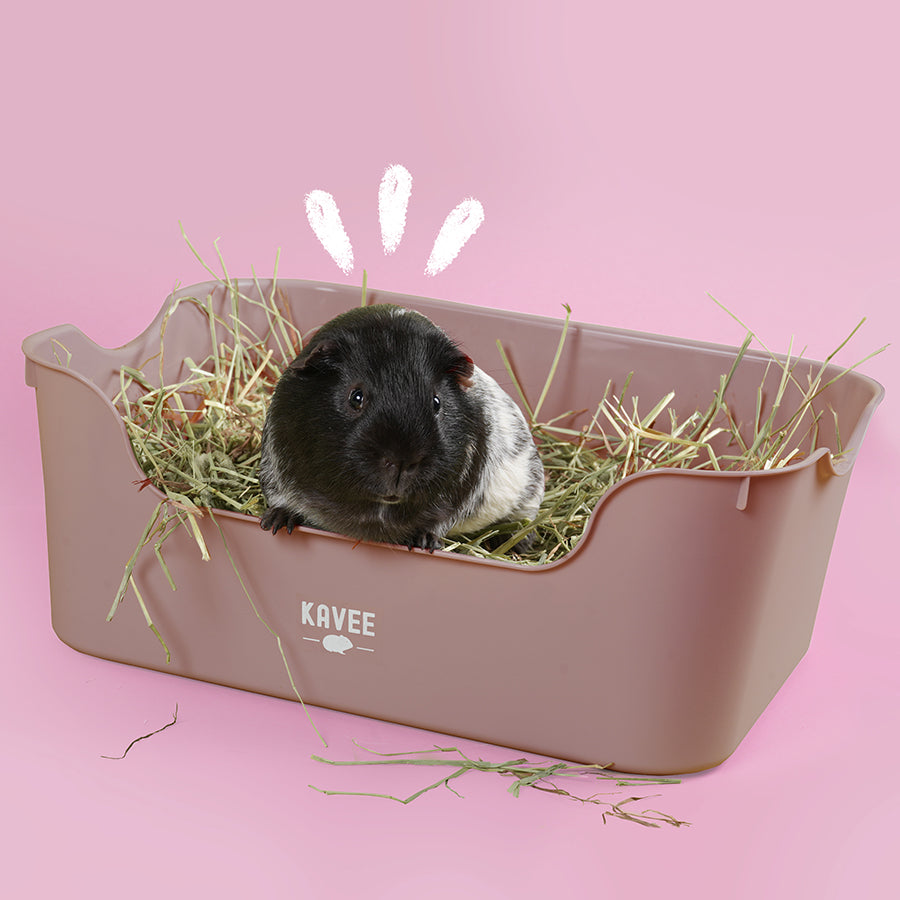 Pink litter tray cheap