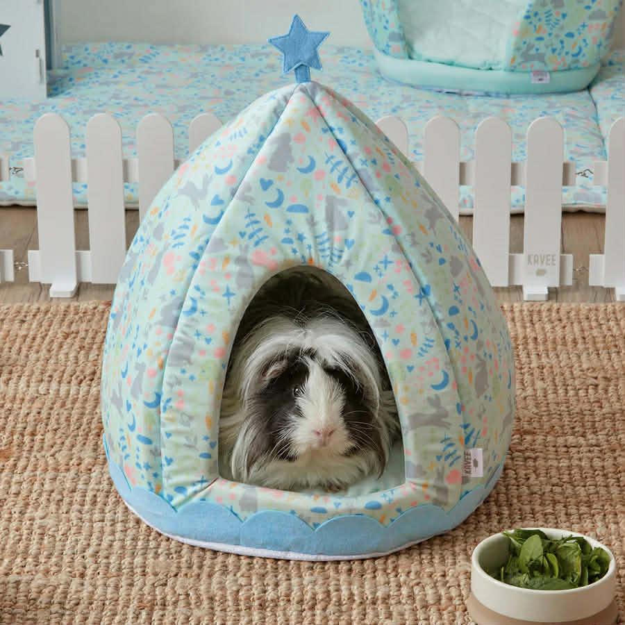 Bloomin' Bunnies Pavilion