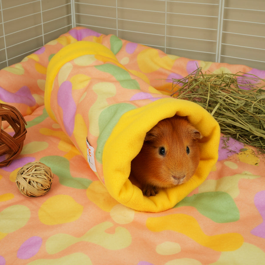 Guinea Pig Fleece Tunnel | Pigcasso V2 Collection