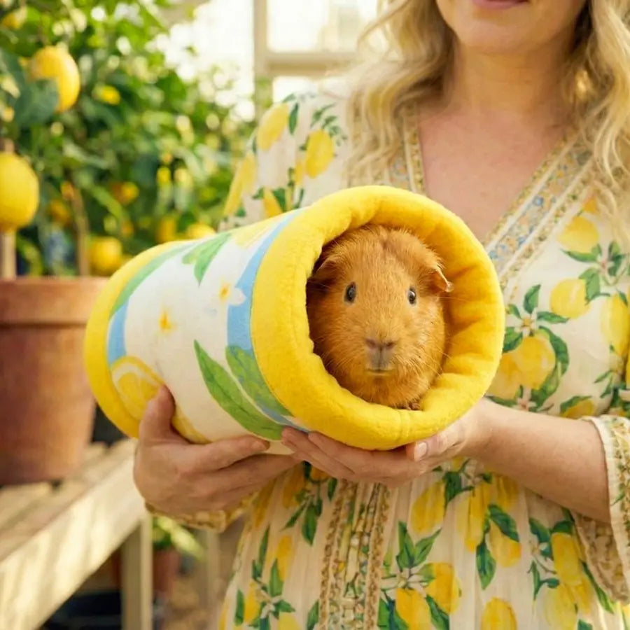 Guinea Pig Tunnel | Amalfi Collection