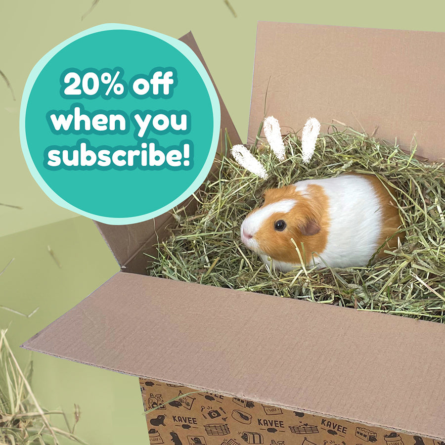Timothy Hay Box 2kg | Guinea Pig Hay