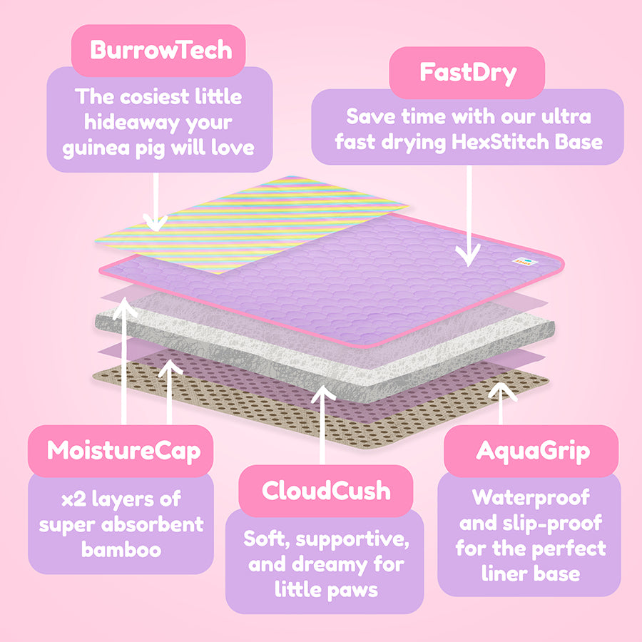 Plush Fleece Liners for Guinea Pigs | Rainbow Collection