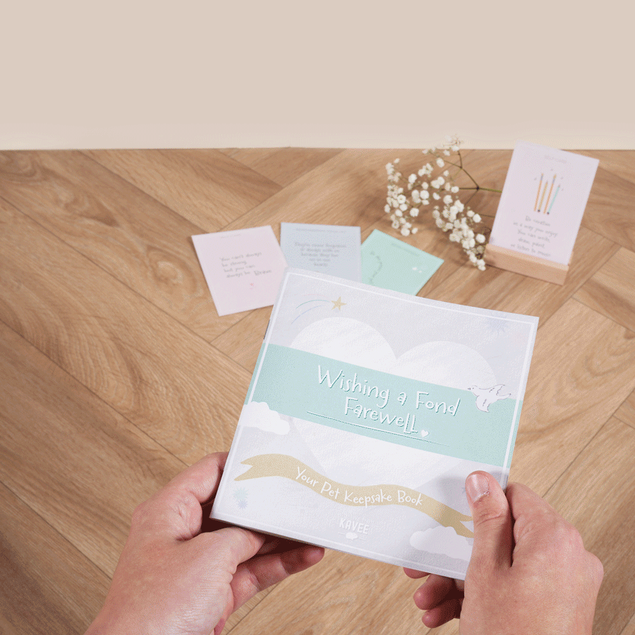 Kavee Cage Memorial set for guinea pigs and rabbits GIF of booklet being read