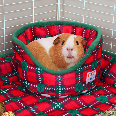 Comfy Cuddle Cup | Merry Pigmas