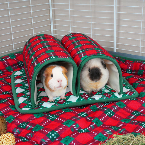 Double Tunnel | Merry Pigmas