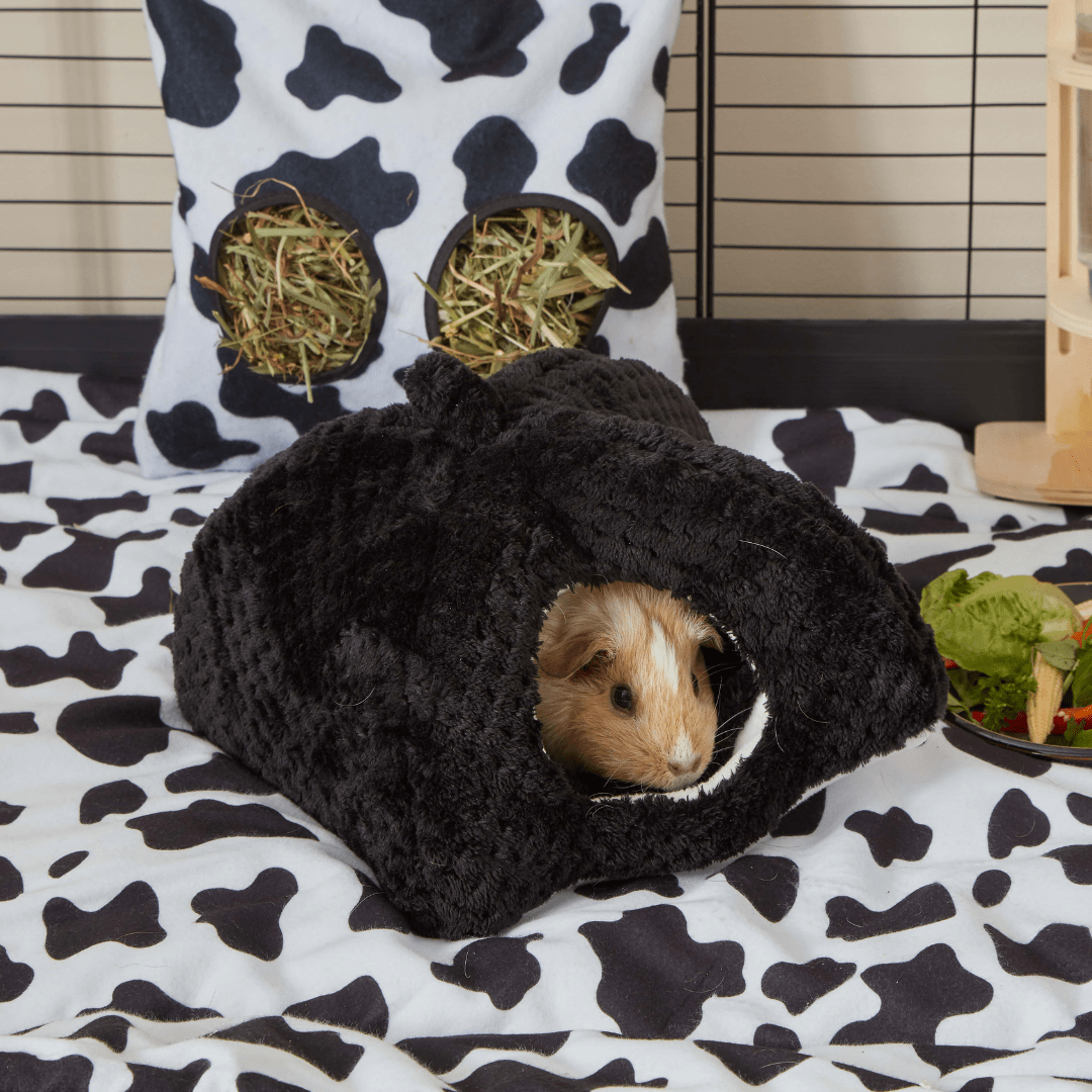 Extra Soft Fleece Hidey for Guinea Pigs | Bold Black