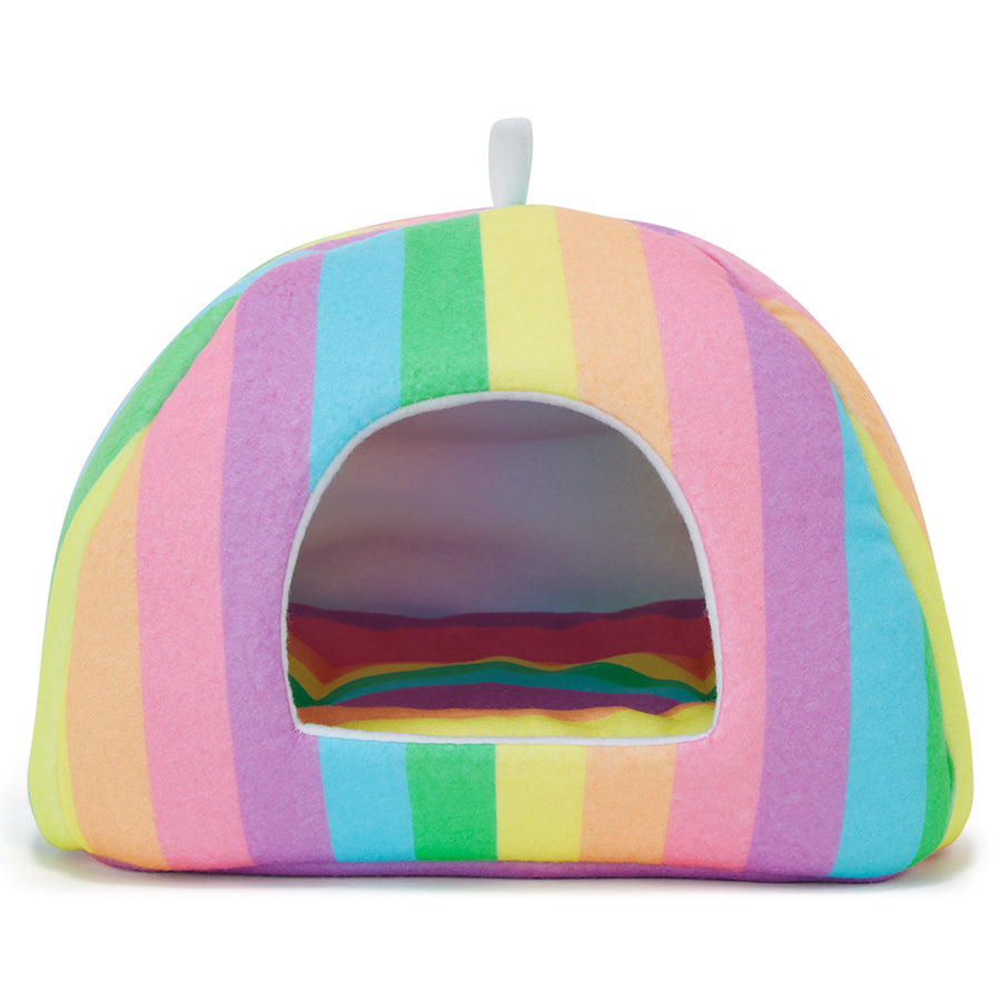 Premium Rainbow Bundle for Guinea Pigs