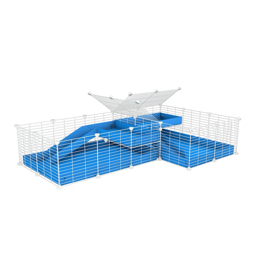 A 6x2 L-shape white C&C cage with divider and loft ramp for guinea pig fighting or quarantine with blue coroplast from brand kavee