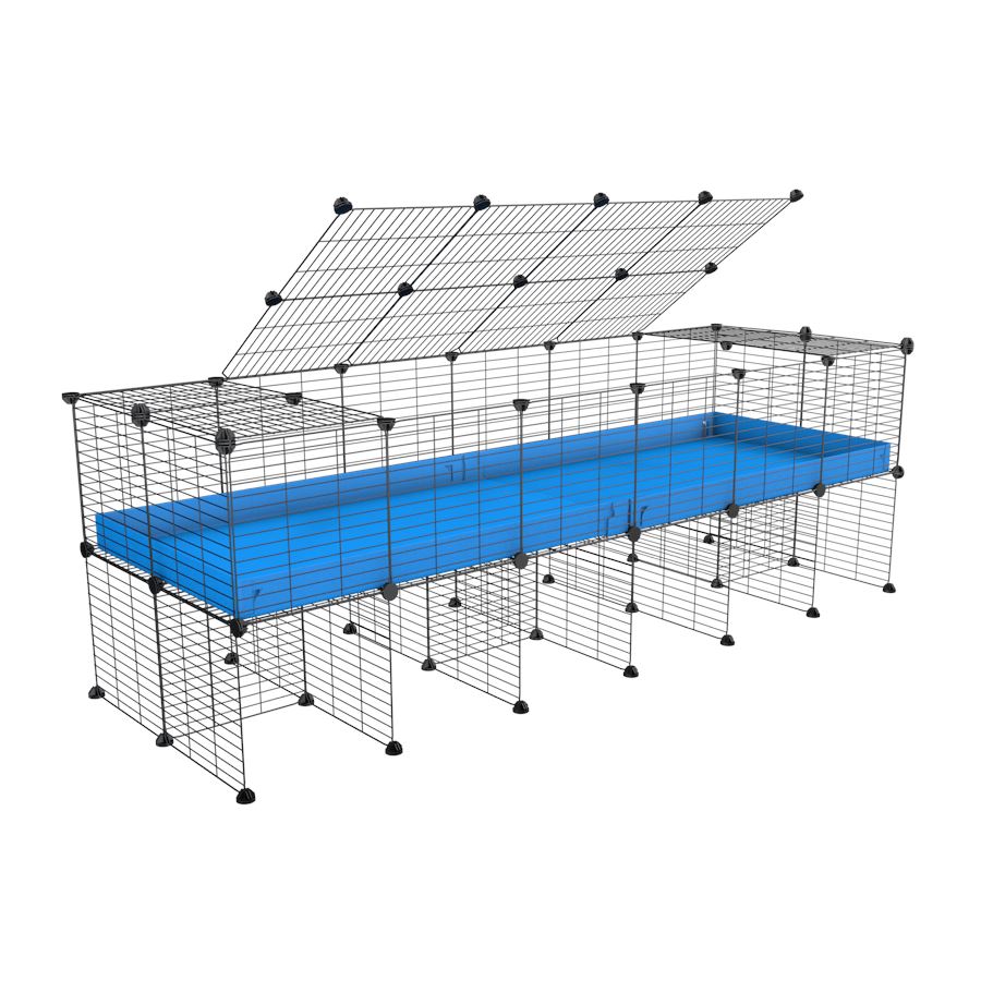 a 6x2 C&C cage for guinea pigs with a stand and a top blue plastic safe grids by kavee