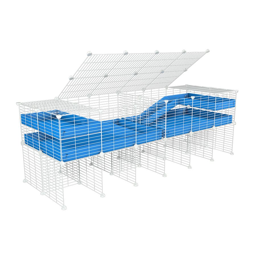 A 6x2 white C&C cage with lid divider stand loft ramp for guinea pig fighting or quarantine with blue coroplast from brand kavee