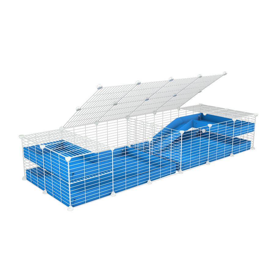 A 6x2 white C&C cage with lid divider loft ramp for guinea pig fighting or quarantine with blue coroplast from brand kavee