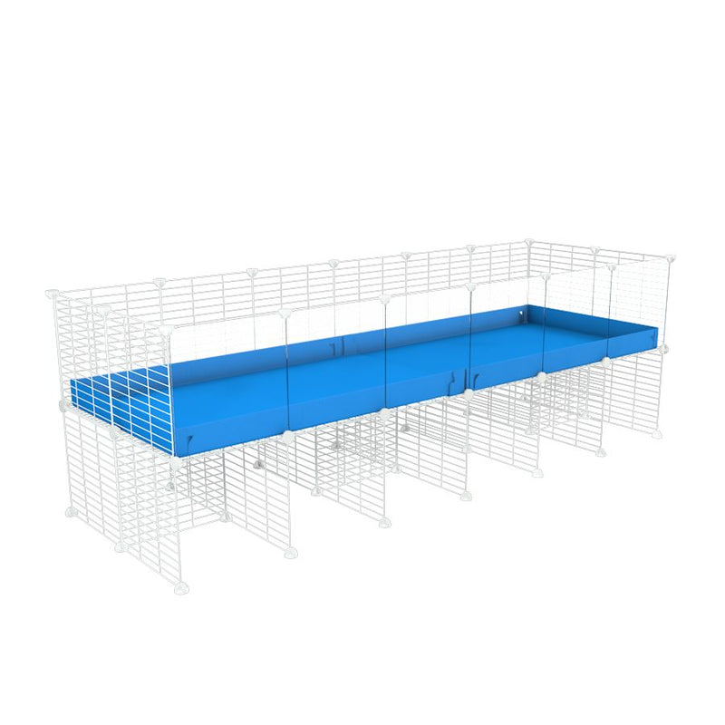 a 6x2 CC cage with clear transparent plexiglass acrylic panels  for guinea pigs with a stand blue correx and white grids sold in UK by kavee
