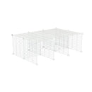A C and C guinea pig cage stand size 4x2 with small mesh white C and C grids by kavee UK