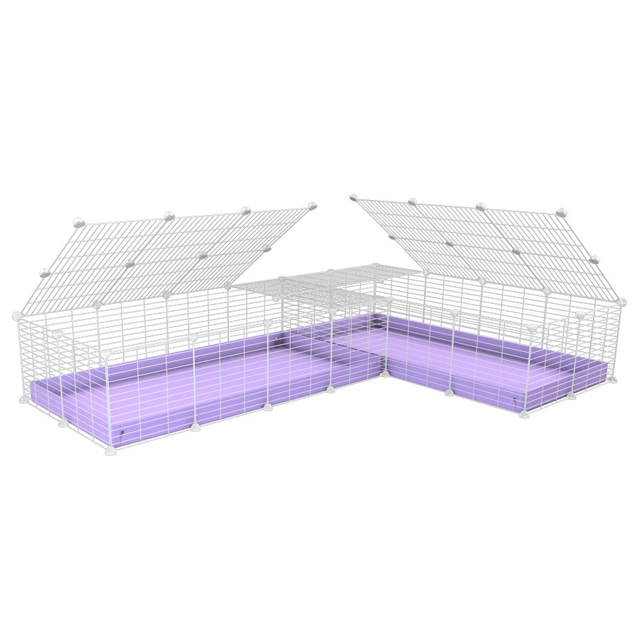 A 8x2 L-shape white C&C cage with lid divider for guinea pig fighting or quarantine with lilac coroplast from brand kavee