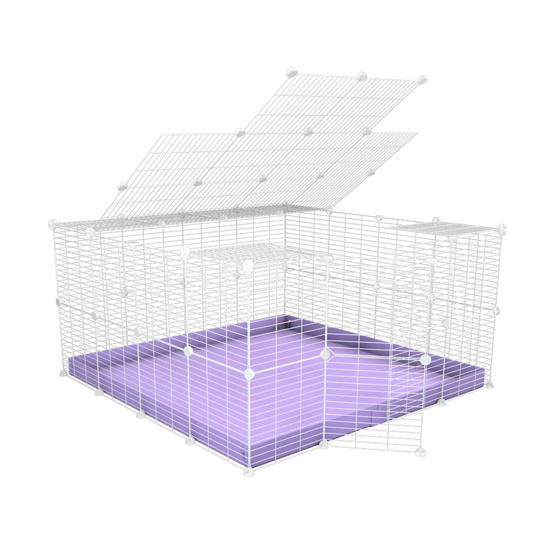 A 4x4 C&C rabbit cage with a lid and safe small meshing baby bars white C&C grids and purple coroplast by kavee UK