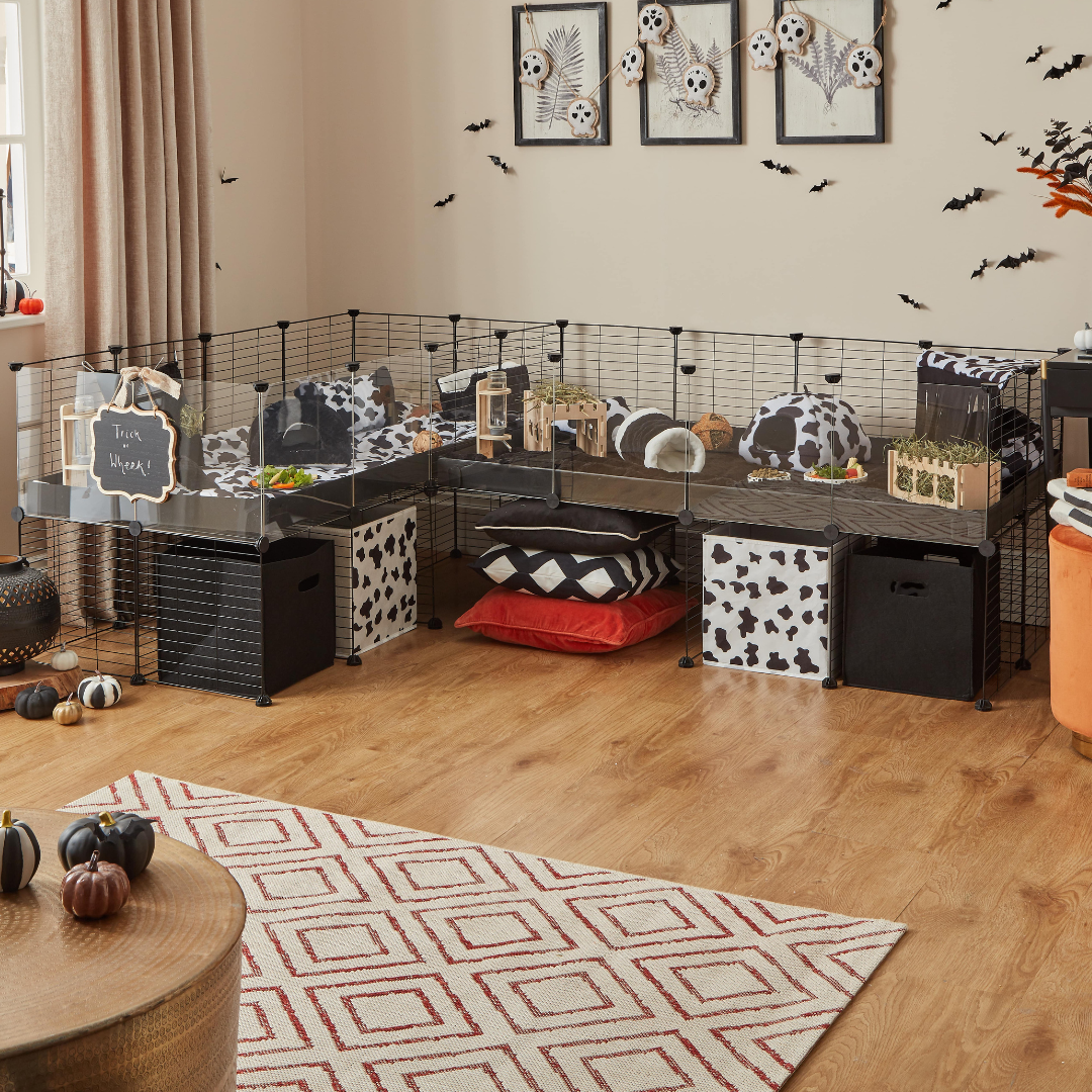 living room with kavee c and c double black grid cage with black storage boxes liners and accessories
